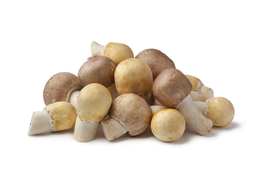 Group,Of,Fresh,Almond,And,Horse,Mushrooms,Isolated,On,White