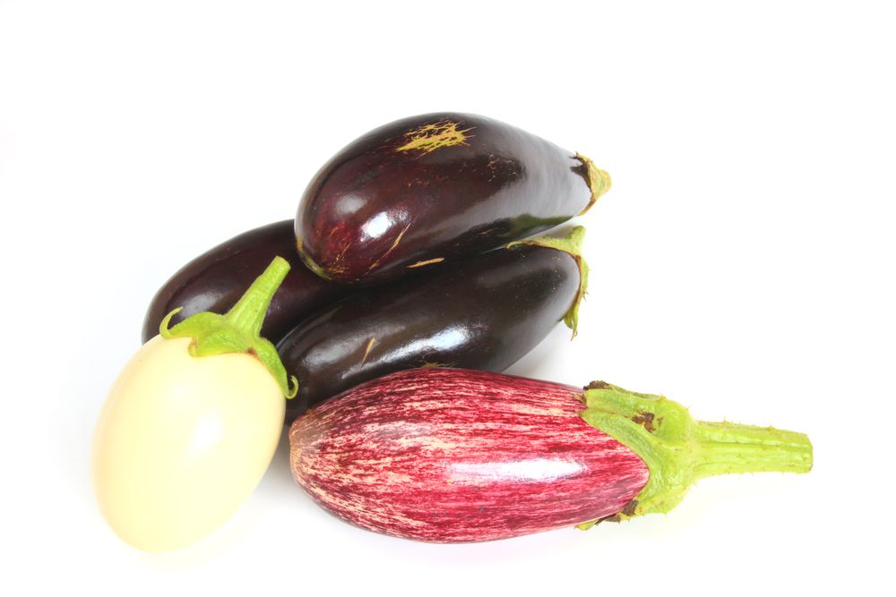aubergine