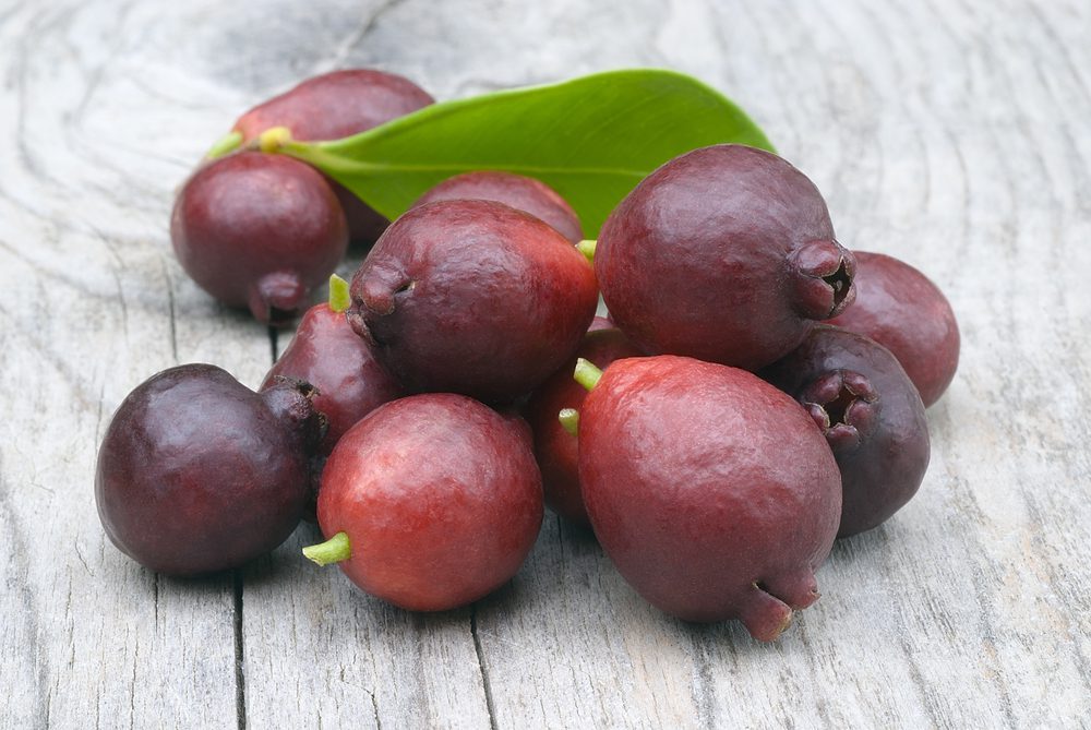 Aardbeiguave1