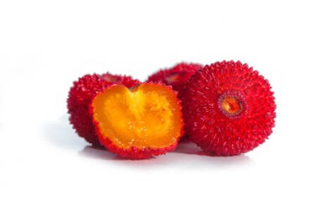 aardbeiboom2