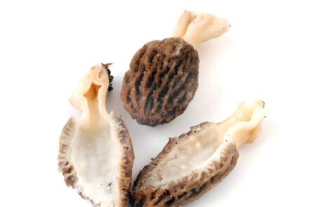 morielje6