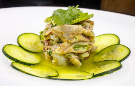 Aguachile,,Onion,,Cucumber,And,Cilantro