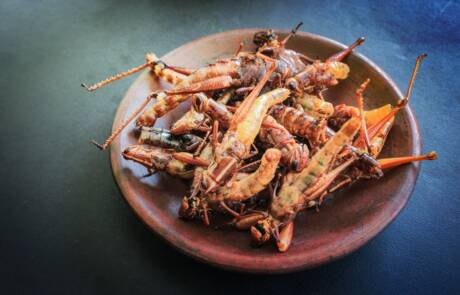 Fried,Grasshopper,Or,Belalang,Goreng,Is,Traditional,Food,From,Southeast