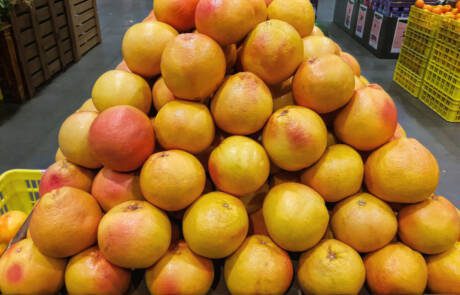 grape fruit1
