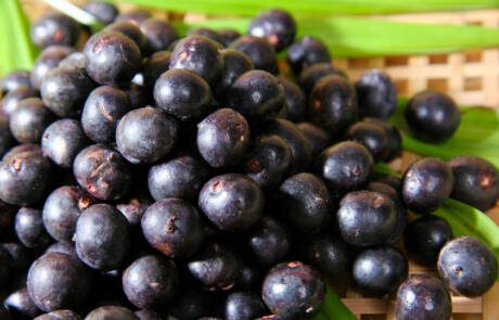 açai