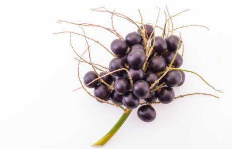 acai