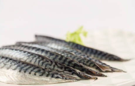 makreel filet
