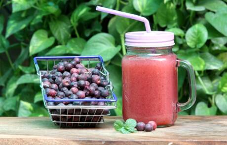 Grewia,Asiatica,Juice,Known,As,Falsa,Sherbet,Or,Falsa,Juice