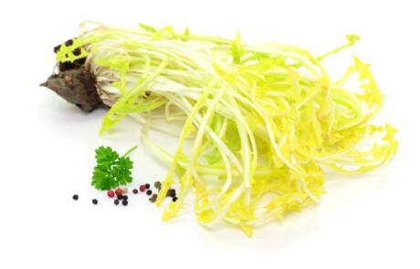 Plant,,Dandelion,With,Pepper,On,White,Background,,Isolated.