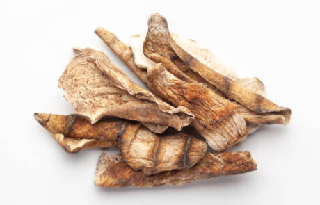 Macro,Close-up,Of,Organic,Dried,Mango,Slices,(mangifera,Indica),Or