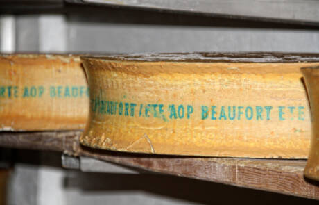 Beaufort,Cheese,Cellar