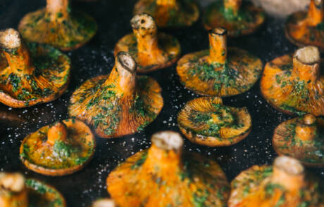 Lactarius,Deliciosus.,Milk,Cap,Or,Red,Pine,Mushroom,At,The
